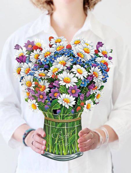 3713_Field-of-