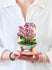 FreshCut Paper Mini Pop-Up Greeting Card Orchid Oasis
