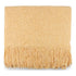 files/Campbell_Lemon_WEB_b03df11f-7466-4836-a99d-bcdf56f80179.webp