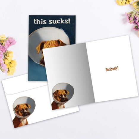 Greeting Card - Get Well - Cone of Shame