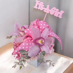 It's a Girl!