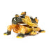 products/Longevity_Turtles_02.jpg