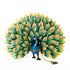 products/Queen_Sheeba_Peacock_02.jpg