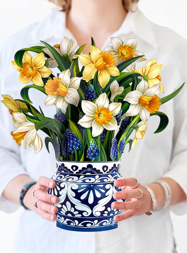 FreshCut Paper Pop-Up Life Sized Greeting Card English Daffodils
