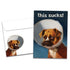 Greeting Card - Get Well - Cone of Shame