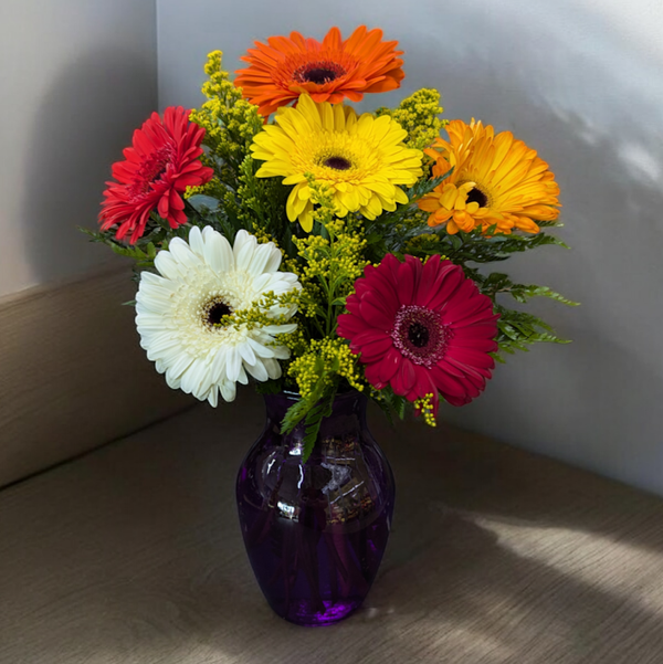 Gerbera Brights