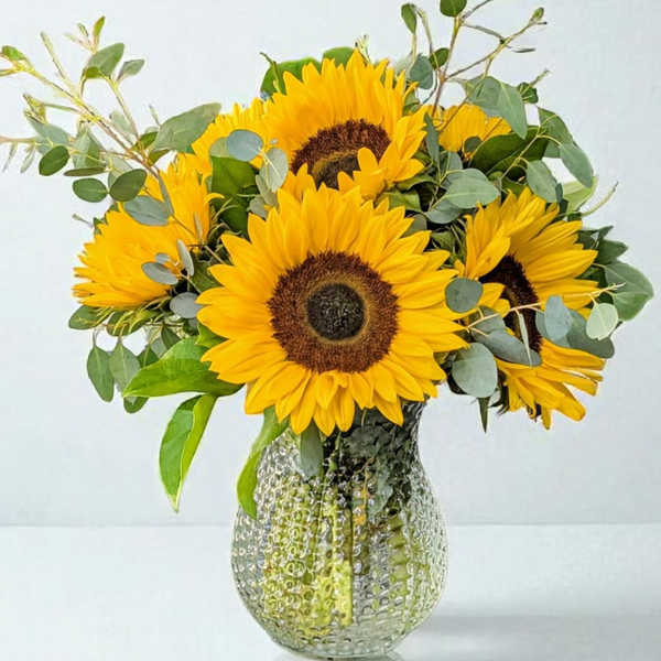 Sunflower Delight