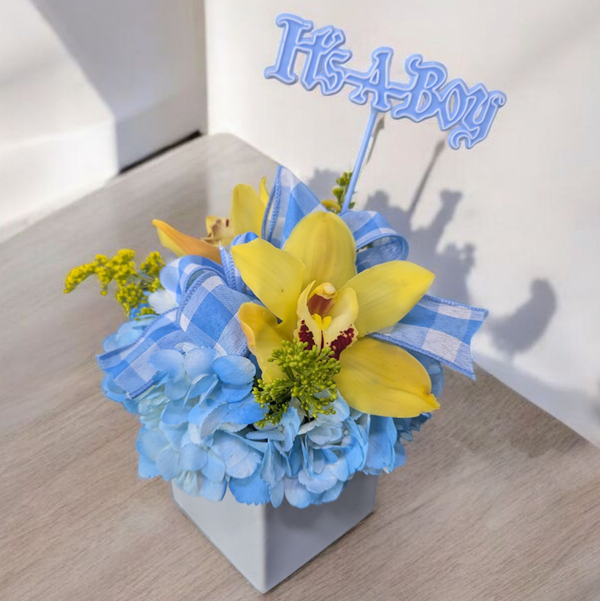 It's a Boy!