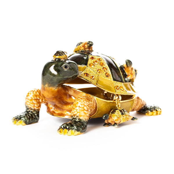 Longevity Turtle Pill Box with Necklace